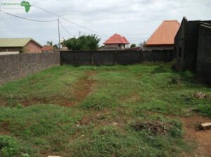 Kobaya carrefour fall superficie 450 m2 documents